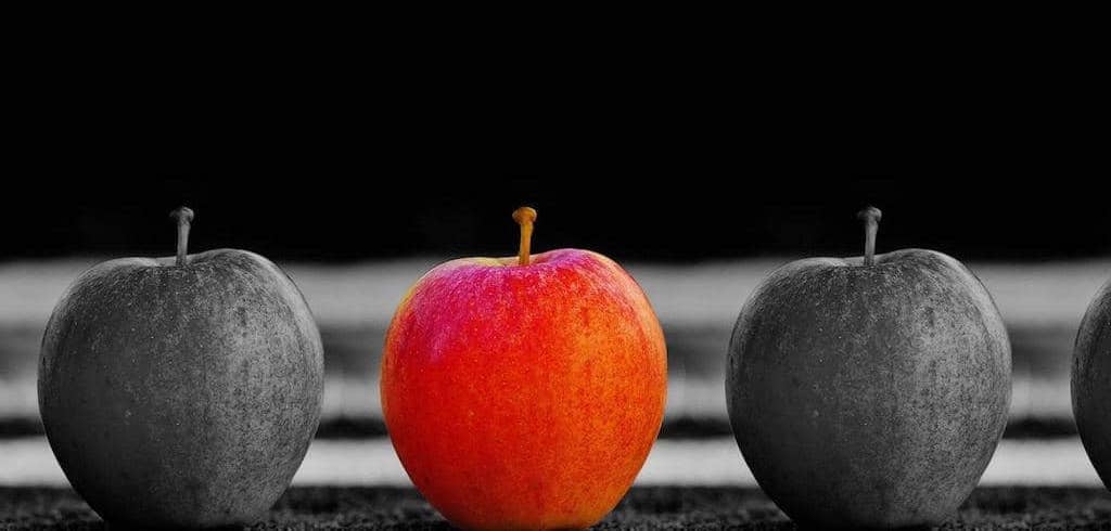 Building up your personal brand